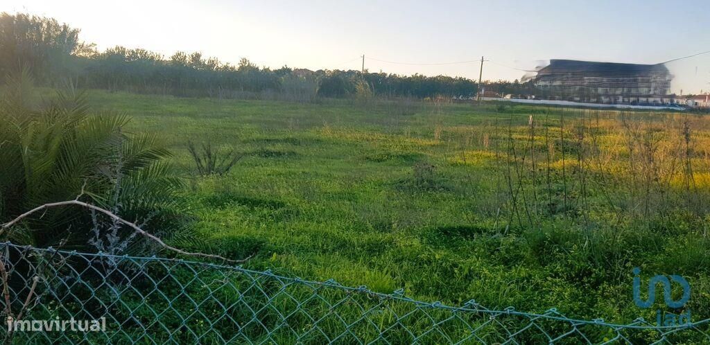  قطعة أرض في Almancil, Portugal 5837متر مربع رقم 140255