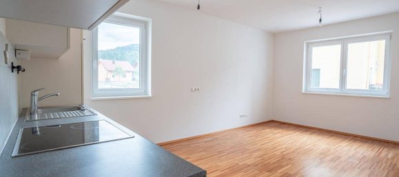1 bedroom House in Liezen, Austria No. 221849 2