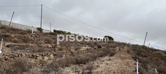  Land in Santa Cruz de Tenerife, Spain No. 105968 3