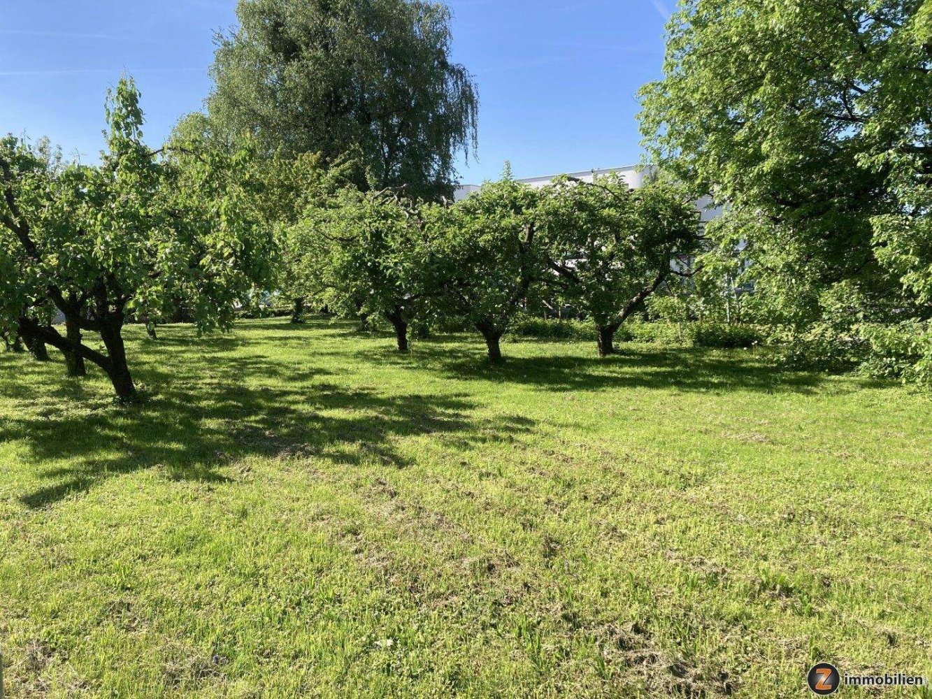  Land in Oberwart, Austria No. 242988