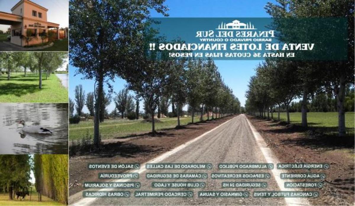  Farm in Santa Fe, Argentina No. 42742