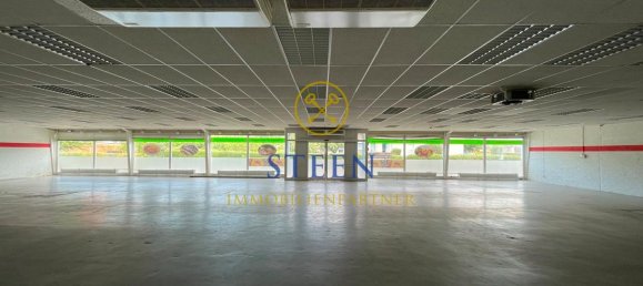 Entrepôt à Waldeck-Frankenberg, Germany 4285m² No. 222531 14