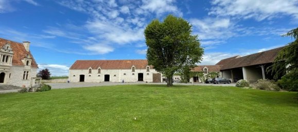 Castillos de 6 dormitorios en Trizay-Coutretot-Saint-Serge, France No. 72489 23