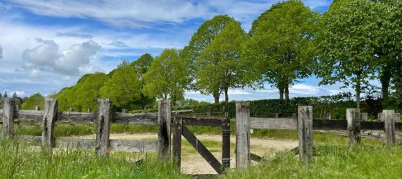 Castillos de 6 dormitorios en Trizay-Coutretot-Saint-Serge, France No. 72489 9