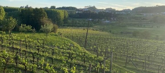 5 bedrooms House in Lousada, Portugal No. 128580 16