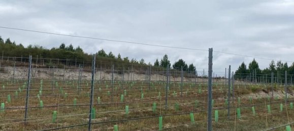 5 bedrooms House in Lousada, Portugal No. 128580 12