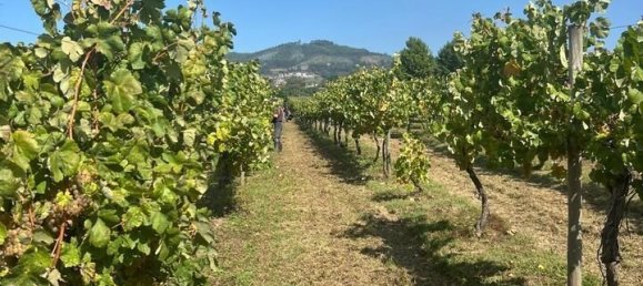 5 bedrooms House in Lousada, Portugal No. 128580 2