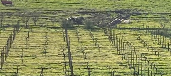 5 bedrooms House in Lousada, Portugal No. 128580 13