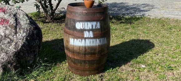 5 bedrooms House in Lousada, Portugal No. 128580 28