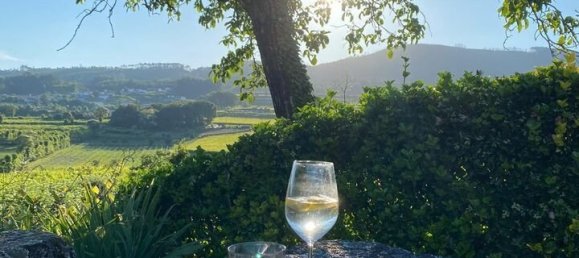 5 bedrooms House in Lousada, Portugal No. 128580 5