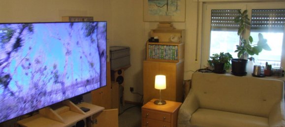 1 Schlafzimmer Wohnung in Darmstadt-Dieburg, Germany, Nr. 328687 15