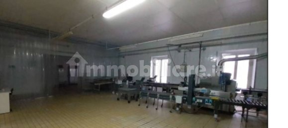 3-Zimmer Lagerhaus in Ozieri, Italy, Nr. 311186 8