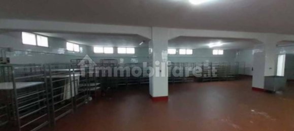 3-Zimmer Lagerhaus in Ozieri, Italy, Nr. 311186 5