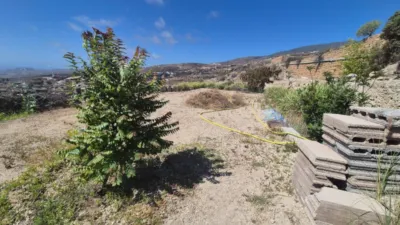  Land in Fasnia, Spain No. 250340