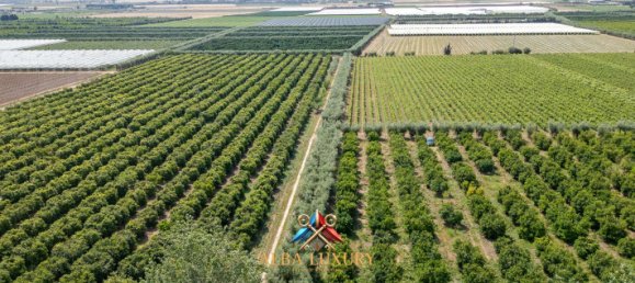 7غرفة فندق في Ginosa, Italy رقم 330059 19