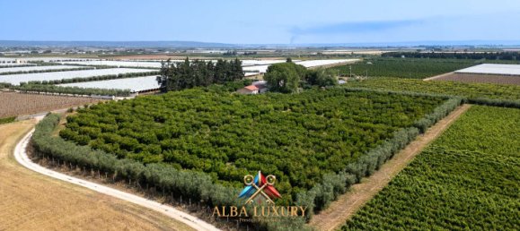 7غرفة فندق في Ginosa, Italy رقم 330059 17