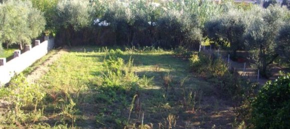 Commercial property in Zakynthos, Greece No. 623 16