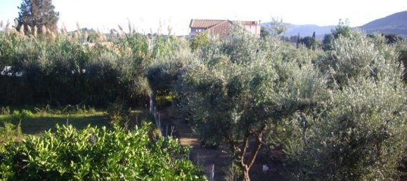 Commercial property in Zakynthos, Greece No. 623 6