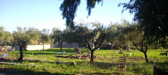 Commercial property in Zakynthos, Greece No. 623 13