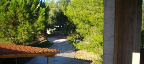 Commercial property in Zakynthos, Greece No. 623 8