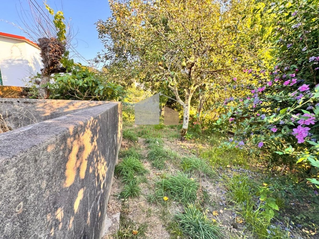  Land in Vila Nova de Cerveira, Portugal No. 335826