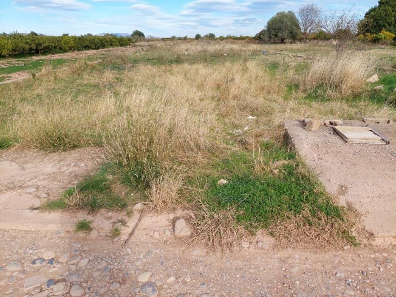 Terrain à Castellon, Spain No. 197085
