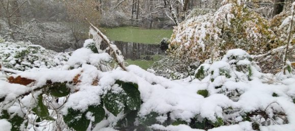 4 Schlafzimmer Haus in Maraye-en-Othe, France, Nr. 159707 28
