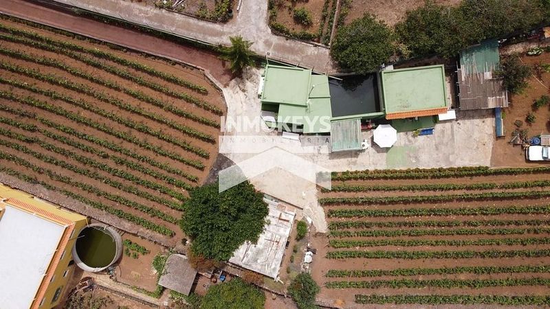 Земельный участок 3000м² в Ла Оротава, Испания № 230711