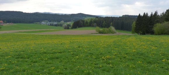 Apartamento T2 em Regen, Germany N.º 192943 2