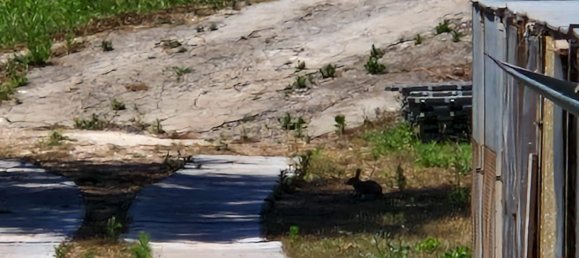 3 bedrooms Villa in Oeiras, Portugal No. 145945 20