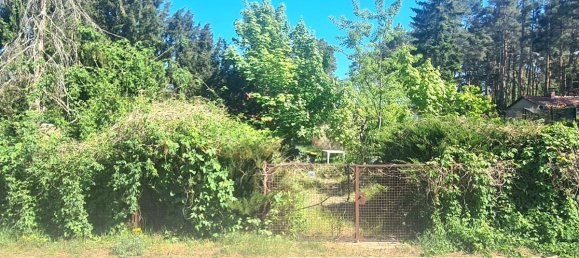 Terreno em Oberhavel, Germany N.º 372197 2