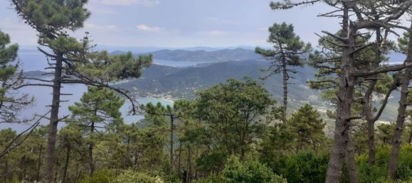 Terreno en Campo nell'Elba, Italy 16340 m² No. 112881 4