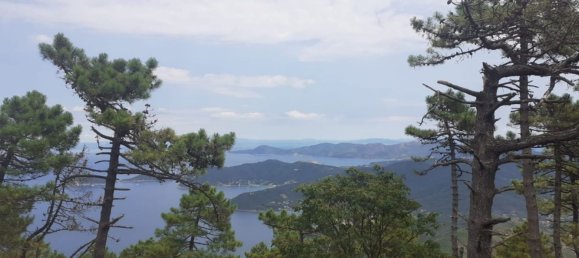 Terreno en Campo nell'Elba, Italy 16340 m² No. 112881 3