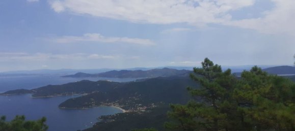 Terreno en Campo nell'Elba, Italy 16340 m² No. 112881 6