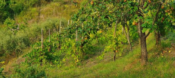 3 rooms House in Tortora, Italy No. 308451 30