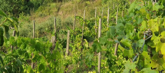 3 rooms House in Tortora, Italy No. 308451 28