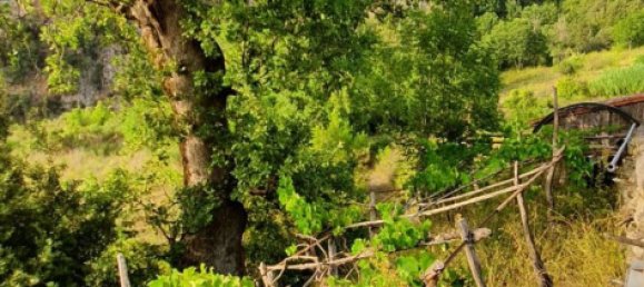 3 rooms House in Tortora, Italy No. 308451 19