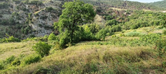 3 rooms House in Tortora, Italy No. 308451 17