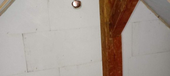 Таунхаус с 5 комнатами в Майнц, Германия № 350141 4