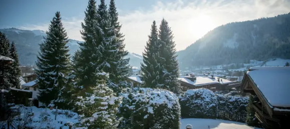 2 bedrooms Villa in Reith bei Kitzbuhel, Austria No. 18610 8