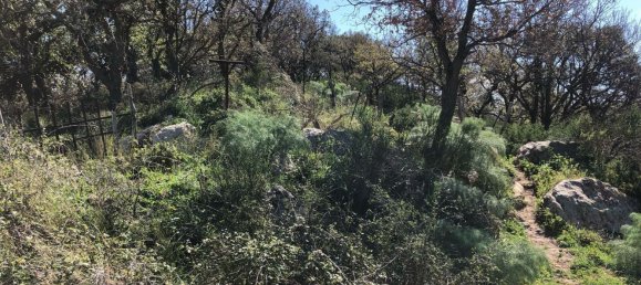 Grundstück in Tusa, Italy 2730m², Nr. 251266 13