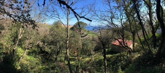 Grundstück in Tusa, Italy 2730m², Nr. 251266 26