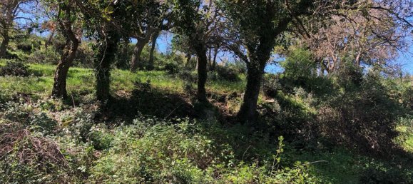 Grundstück in Tusa, Italy 2730m², Nr. 251266 10