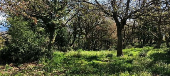 Grundstück in Tusa, Italy 2730m², Nr. 251266 12