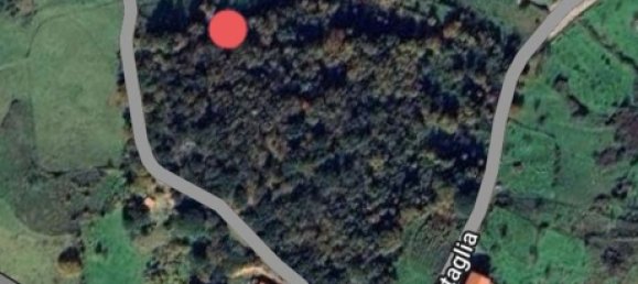 Grundstück in Tusa, Italy 2730m², Nr. 251266 27