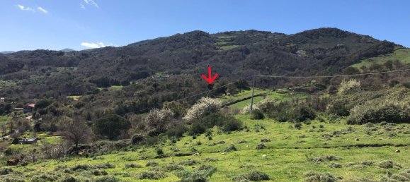 Grundstück in Tusa, Italy 2730m², Nr. 251266 3