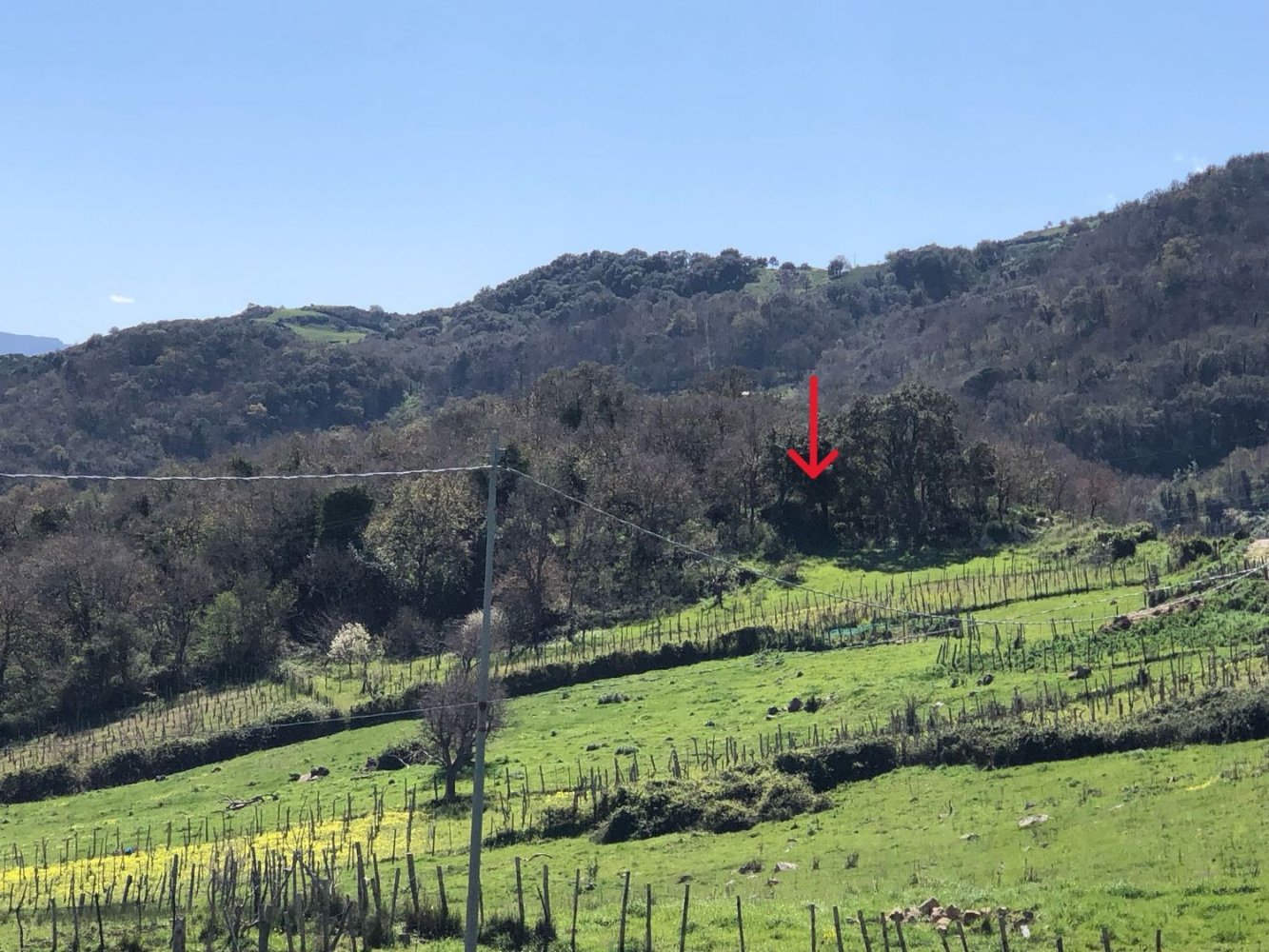 Grundstück in Tusa, Italy 2730m², Nr. 251266