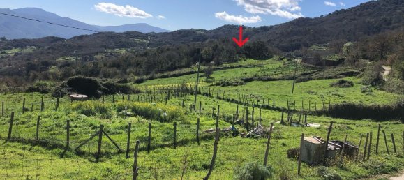 Grundstück in Tusa, Italy 2730m², Nr. 251266 2