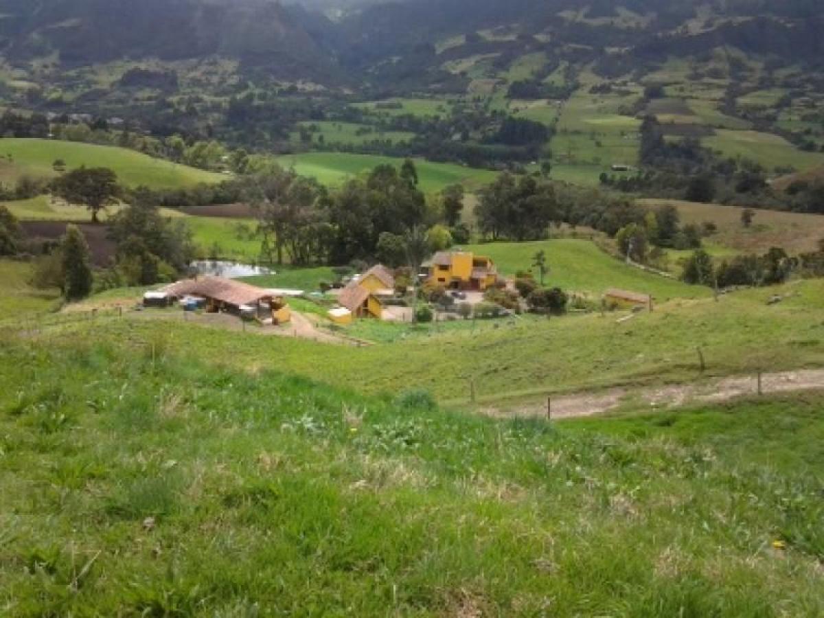 4 Schlafzimmer Haus in Cundinamarca, Colombia, Nr. 9097