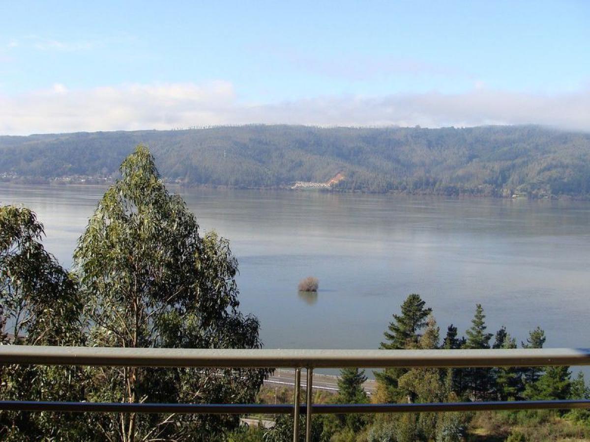 Квартира с 3 спальнями в Биобио, Чили № 4087